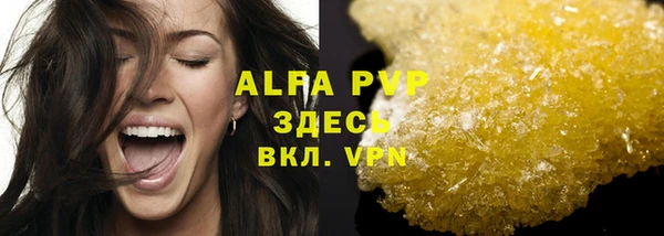 молекула духа Пестово