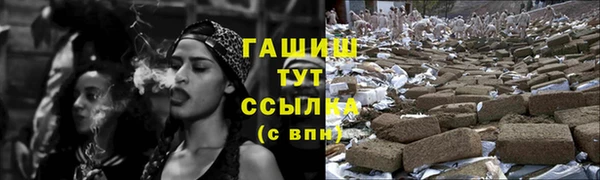молекула духа Пестово