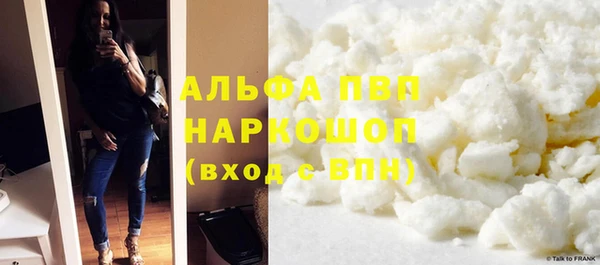 молекула духа Пестово