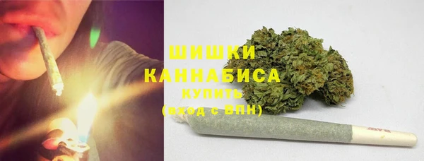 молекула духа Пестово