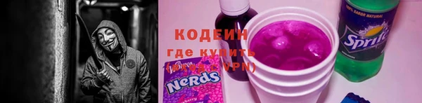 молекула духа Пестово