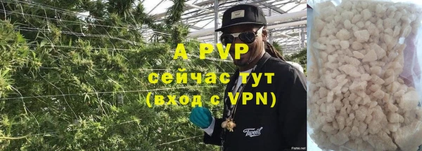 молекула духа Пестово