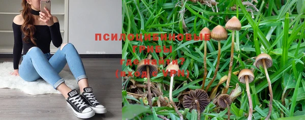 молекула духа Пестово
