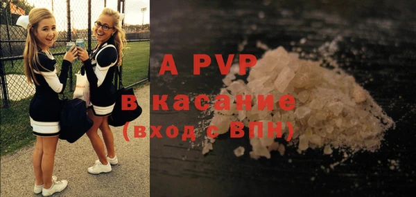 молекула духа Пестово