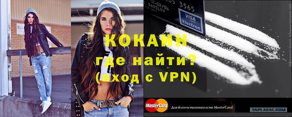 молекула духа Пестово