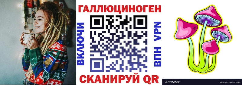 как найти наркотики  гидра ссылка  Галлюциногенные грибы Psilocybe  Чегем 